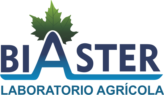 Biaster Logo